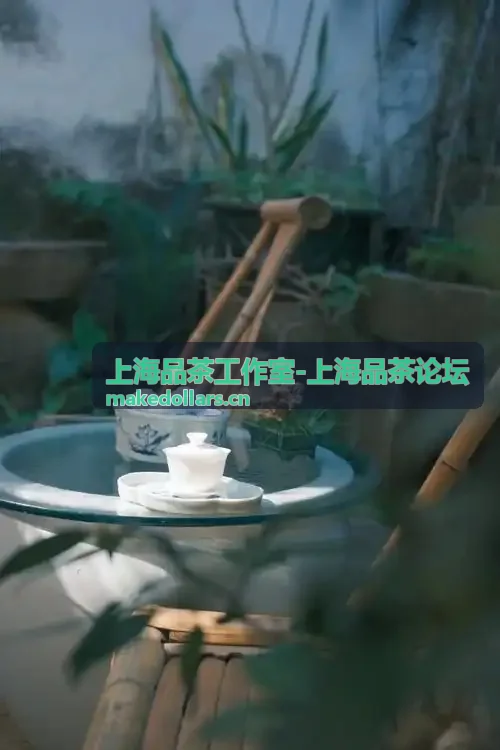 上海品茶工作室岩茶品鉴专场茶会